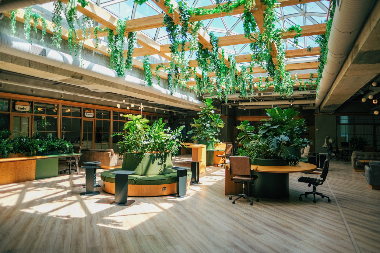 Clean Office with Houseplants